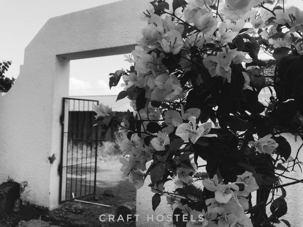 Craft Hostels Анжуна Экстерьер фото